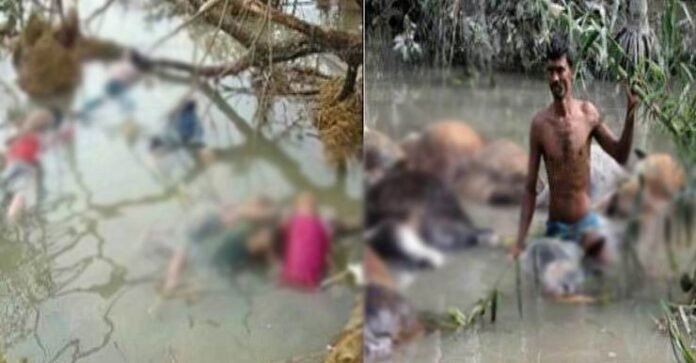 আজ ভয়াল ২৯ এপ্রিল আজ ভয়াল ২৯ এপ্রিল