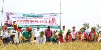 কৃষকের ধান কেটে দেয়া কর্মসূচি