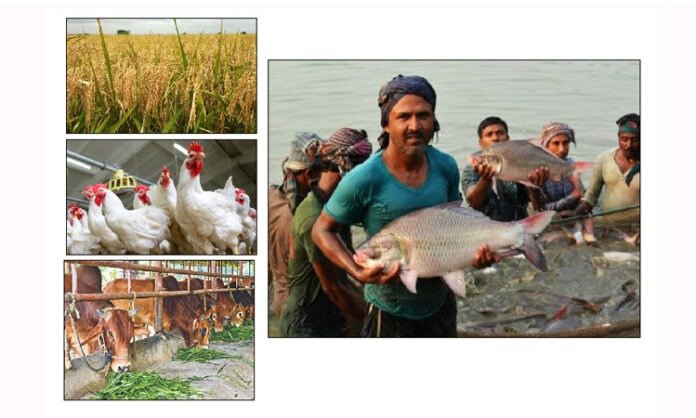 কৃষি খাতে এগিয়ে শিক্ষিত যুবকেরা