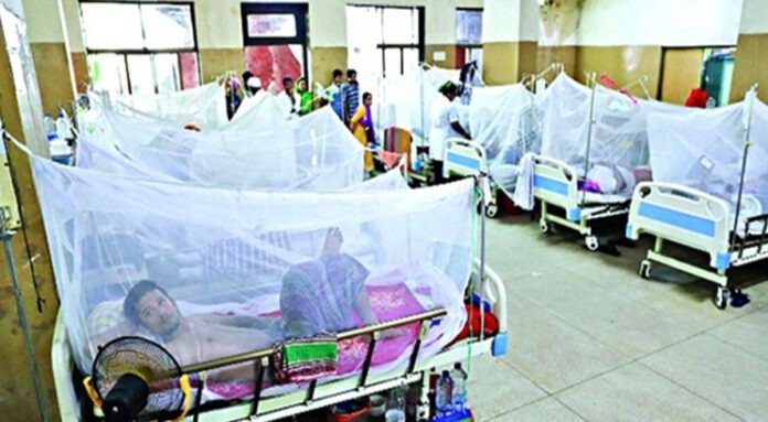 ডেঙ্গু জ্বরে ১১ জনের মৃত্যু ডেঙ্গু
