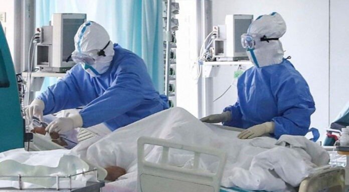 বিশ্ব করোনায় মৃত্যু ৪৯ লাখ ১৪ হাজার বিশ্ব করোনায় মৃত্যু ৪৯ লাখ ১৪ হাজার