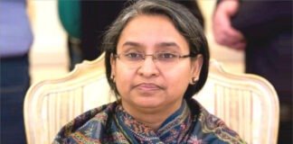 দীপু