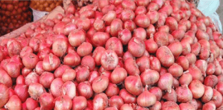 পেঁয়াজ