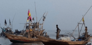 ৬৫ দিন