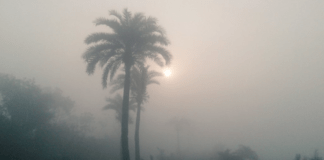 উত্তরবঙ্গে তাপমাত্রা কমার আভাস